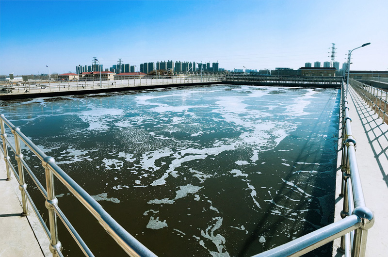 Municipal Sewage Treatment