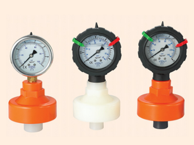 Diaphragm Pressure Gauge